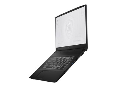 MSI WF76 Workstation 11UJ-299 17.3" Laptop, Intel Core i7, 16GB Memory, 1TB SSD, Windows 10 Pro (WF76299)