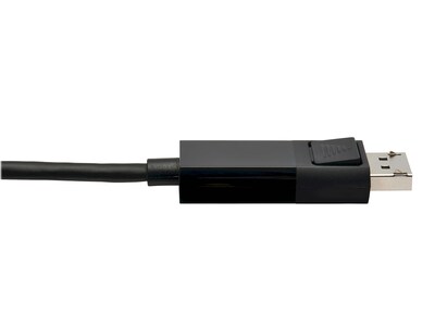 Tripp Lite USB C to Display Port Audio/Video Adapter, Male to Male, Black (U444-006-DP-BE)