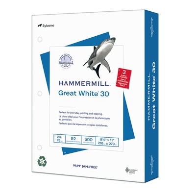 Hammermill Great White 8.5 x 11 3-Hole Punch Copy Paper, 20 lbs., 92 Brightness, 500 Sheets/Ream (86702)