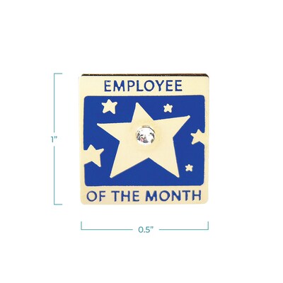 Baudville® Lapel Pin, Employee of the Month With Gem
