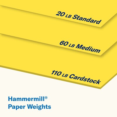 Hammermill Premium 110 lb. Cardstock Paper, 8.5" x 11", Blue/Green/Red/Yellow, 600 Sheets/Carton (168390)