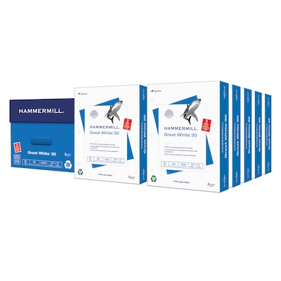 Hammermill Great White 8.5 x 11 3-Hole Punched Copy Paper, 92 Brightness, 20 lbs., 5000/Carton (86702)