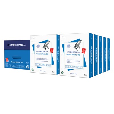Hammermill Great White Recycled Copy 3-Hole Punched, 92 Brightness, 20Lb, Letter, 5000/Carton (86702