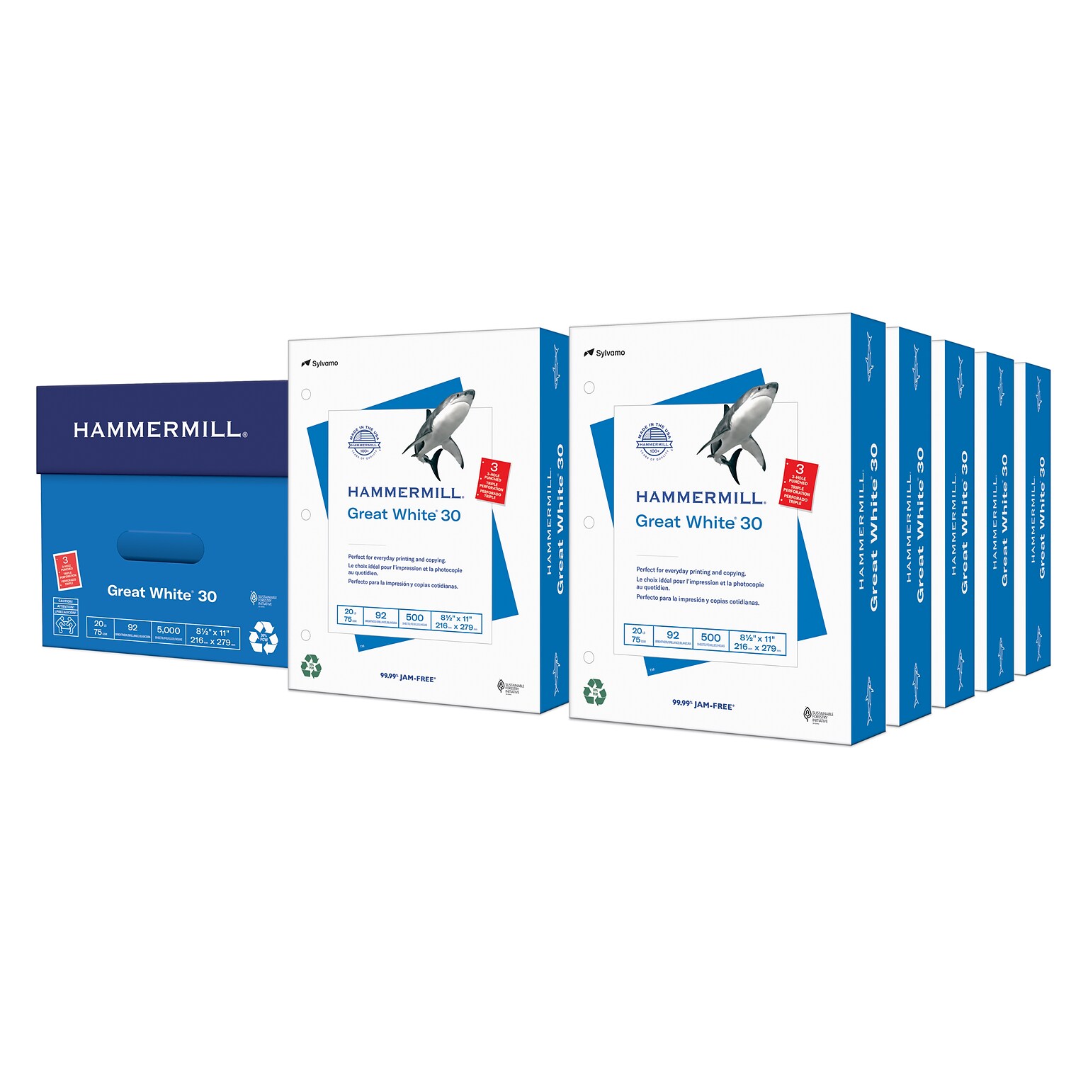 Hammermill Great White Recycled Copy 3-Hole Punched, 92 Brightness, 20Lb, Letter, 5000/Carton (86702)