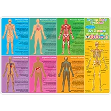 Ashley Productions Smart Poly 12 x 17 Human Body Systems & Anatomy Learning Mat, Double-Sided (ASH