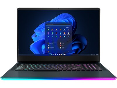 MSI Raider GE76 12UHS-252 17.3 Laptop, Intel Core i9, 32GB Memory, 1TB SSD, Windows 11 (RAIDERGE7612252)