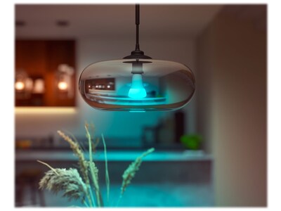Philips Hue White Light Bulb, A21 16 Million Colors 16W E26  (562982)