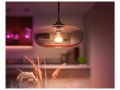 Philips Hue White Light Bulb, A21 16 Million Colors 16W E26  (562982)