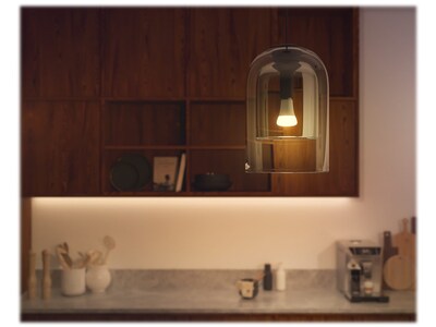 Philips Hue White Light Bulb, A21 2200K-6500K 16W E26 (562990)