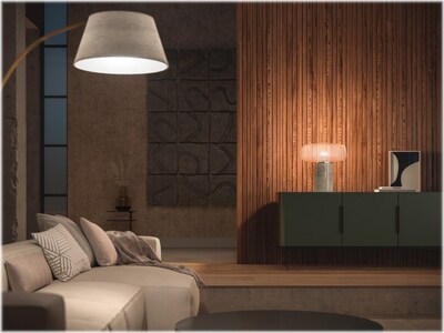 Philips Hue White Light Bulb, A19 2700K 10.5W E26, 2/Pack  (563007)