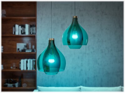 Philips Hue White Light Bulb, A21 16 Million Colors 10.5W E26, 2/Pack  (563361)