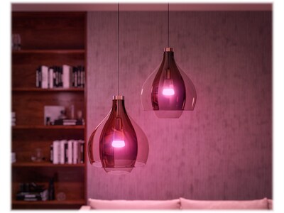 Philips Hue White Starter Kit, A19 16 Million Colors 10.5W E26  (563296)