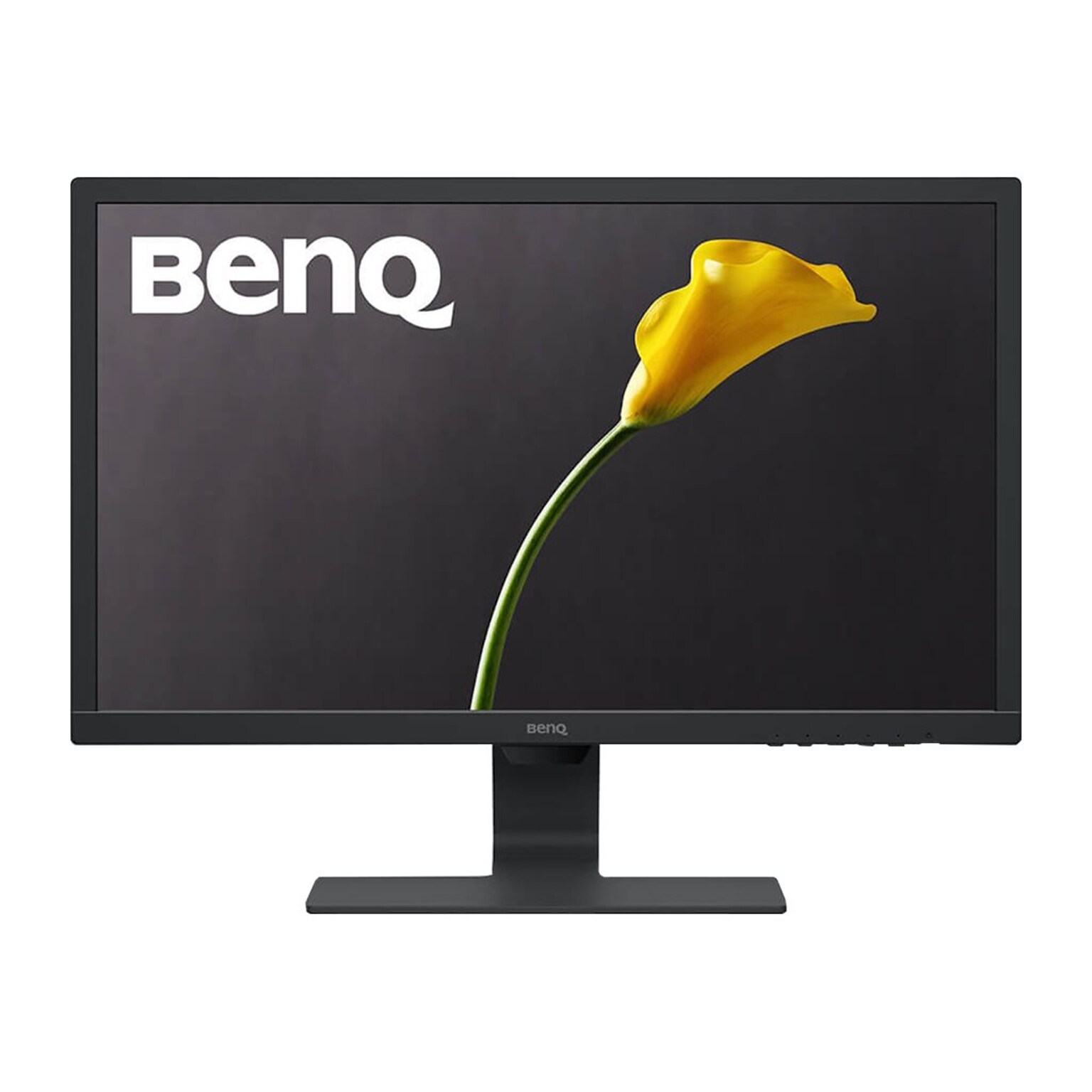 BenQ 24 LED Monitor, Black (GL2480)