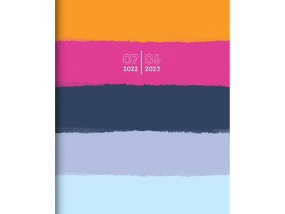 2022-2023 TF Publishing Bold Streaks 9 x 11 Academic Monthly Planner, Multicolor (AY-LMO-23-4706)