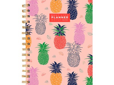 2022-2023 TF Publishing Perky Pineapples 7 x 9 Academic Daily & Monthly Planner, Multicolor (AY-LUX-23-5202)