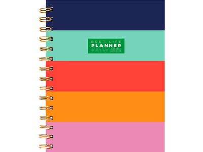 2022-2023 TF Publishing Classic Bold Stripe 7 x 9 Academic Daily & Monthly Planner, Multicolor (AY-LUX-23-5200)