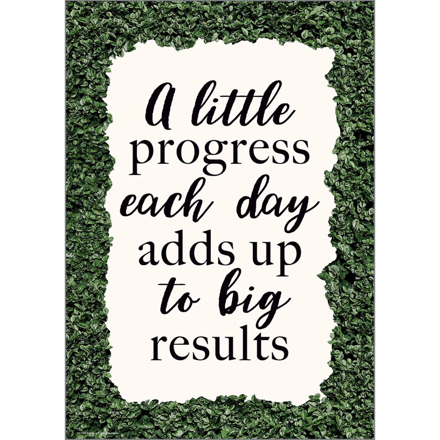 Teacher Created Resources 13-3/8 x 19 A little Progress Each Day Adds up to Big Results Positive Poster (TCR7994)