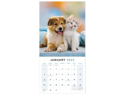 2023 Mead Paw Pals 12 x 12 Monthly Wall Calendar (LME2261023)