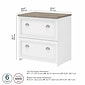 Bush Furniture Fairview 2-Drawer Lateral File Cabinet, Letter/Legal, Shiplap Gray/Pure White, 29.57" (WC53681-03)