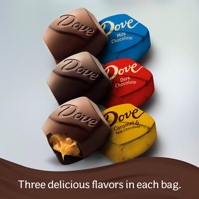 Dove Promises Variety Mix Assorted Flavors Assorted Chocolate Pieces, 31 oz. (220-02022)