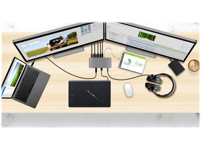 Iogear Quantum Dual Monitor Docking Station for Laptop (GTD737)