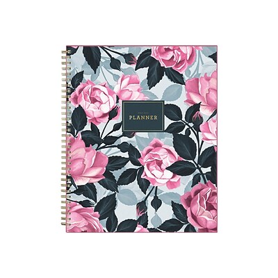 2022-2023 Blue Sky Roosevelt 8.5 x 11 Academic Weekly & Monthly Planner, Multicolor (128691-A23)