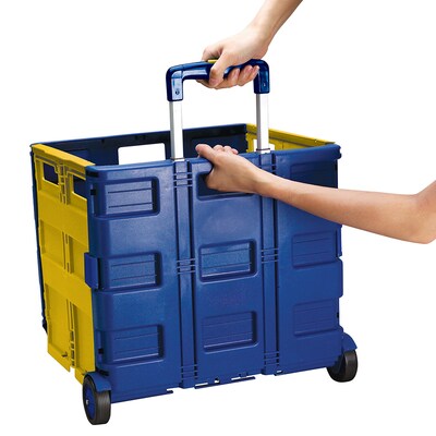 Educational Insights Teacher Tote-All, Multicolor (1099)