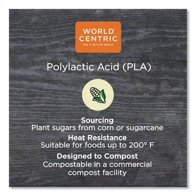 World Centric PLA Fiber Cup Lid, 3.1, Clear, 1,000/Carton (WORCPLCS9F)