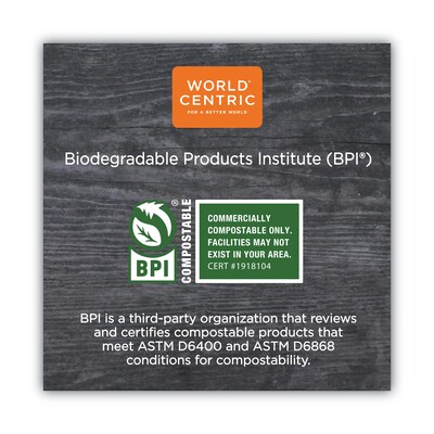 World Centric TPLA Compostable Spoon, White, 750/Carton (WORSPPSI)