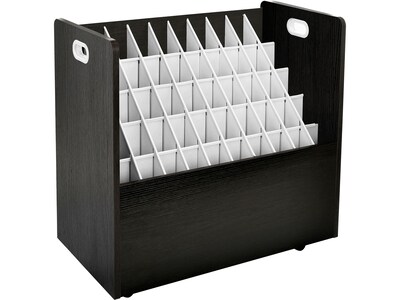 AdirOffice 50-Slot Mobile Roll File, 29.25H x 30.25W x 15.75D, Black (626-BLK-2PK)