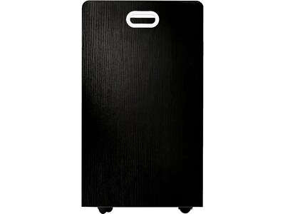 AdirOffice 50-Slot Mobile Roll File, 29.25H x 30.25W x 15.75D, Black (626-BLK-2PK)