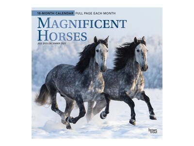 2022-2023 BrownTrout Magnificent Horses 12 x 12 Monthly Wall Calendar (9781975454807)