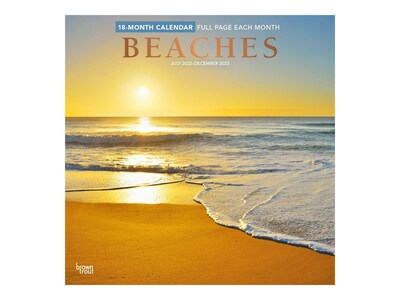 2022-2023 BrownTrout Beaches 12 x 12 Monthly Wall Calendar (9781975454784)