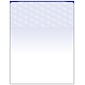 Zapco 8.5" x 11" Security Check On Top, 60 lbs., Blue, 500 Sheets/Pack (CK02-500BLUE)