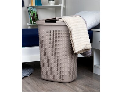 Mind Reader Plastic Laundry Hamper with Lid, Brown Metallic (60HAMP-BRNM)