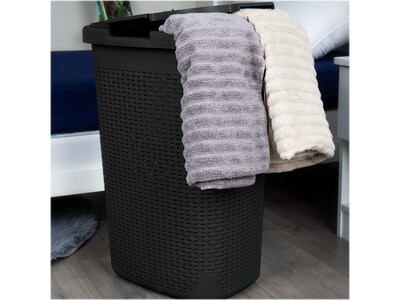 Mind Reader 15.85-Gallon Laundry Hamper with Lid, Plastic, Black (60HAMP-BLK)