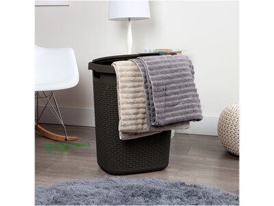 Mind Reader Plastic Laundry Hamper with Lid, Brown (50HAMP-BRN)