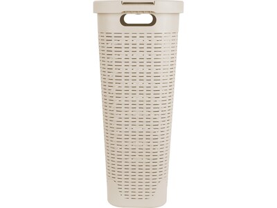 Mind Reader Plastic Laundry Hamper with Lid, Ivory (40HAMP-IVO)