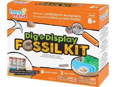 hand2mind Dig & Display Fossil Kit (93418)