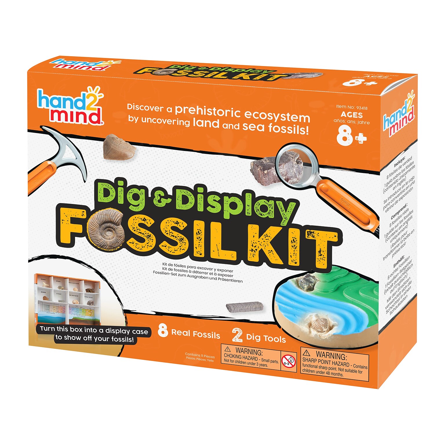 hand2mind Dig & Display Fossil Kit (93418)