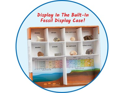 hand2mind Dig & Display Fossil Kit (93418)
