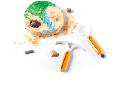 hand2mind Dig & Display Fossil Kit (93418)