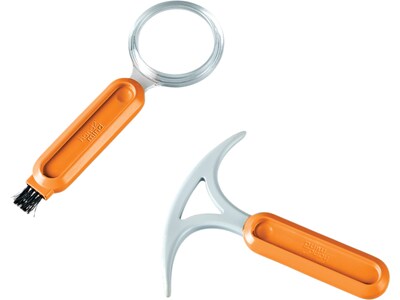 hand2mind Dig & Display Fossil Kit (93418)