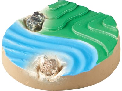 hand2mind Dig & Display Fossil Kit (93418)