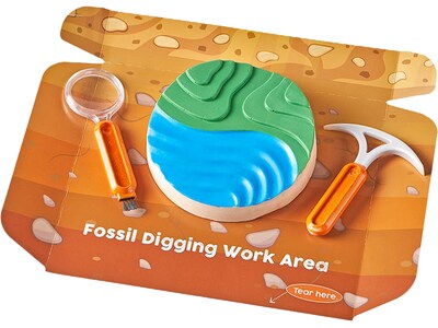 hand2mind Dig & Display Fossil Kit (93418)