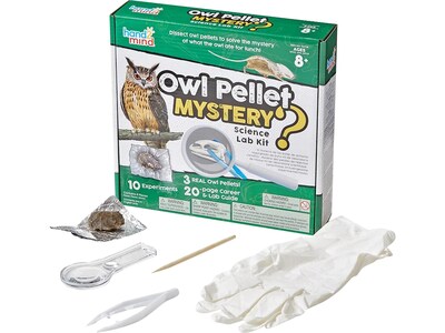 hand2mind Owl Pellet Mystery Science Lab Kit, Green/White (90738)