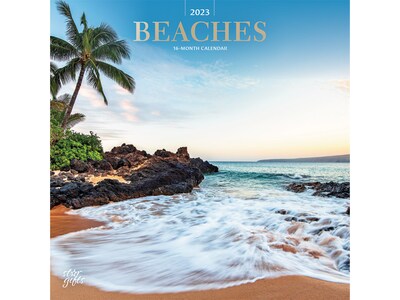 2023 BrownTrout Beaches 12 x 12 Monthly Wall Calendar (9781975455460)