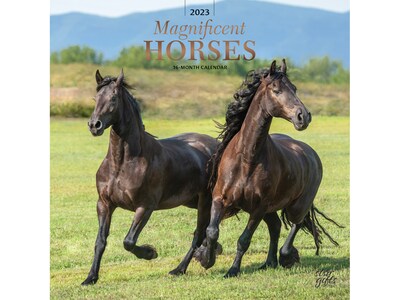 2023 BrownTrout Magnificent Horses 12 x 12 Monthly Wall Calendar (9781975453374)
