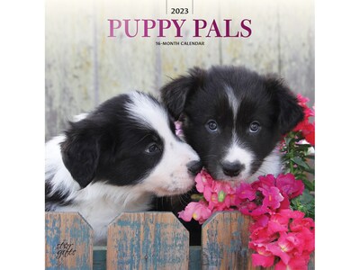 2023 BrownTrout Puppy Pals 12 x 12 Monthly Wall Calendar (9781975455651)