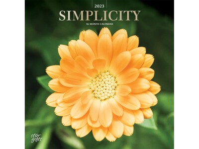 2023 BrownTrout Simplicity 12 x 12 Monthly Wall Calendar (9781975455774)